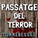 Passatge del terror