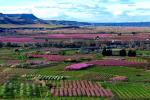 Segrià, Terra de Floració